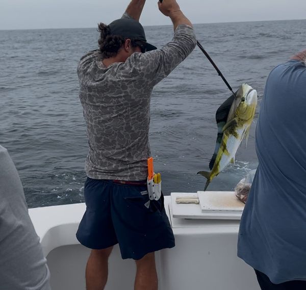 Grizzly Creek Charters
