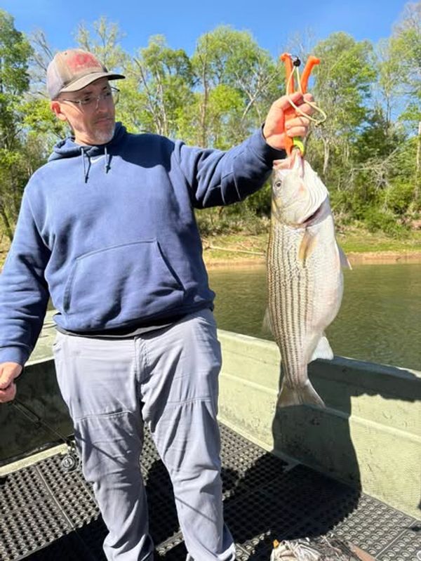 Grizzly Creek Charters