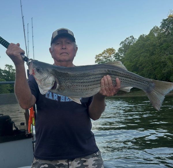 Grizzly Creek Charters