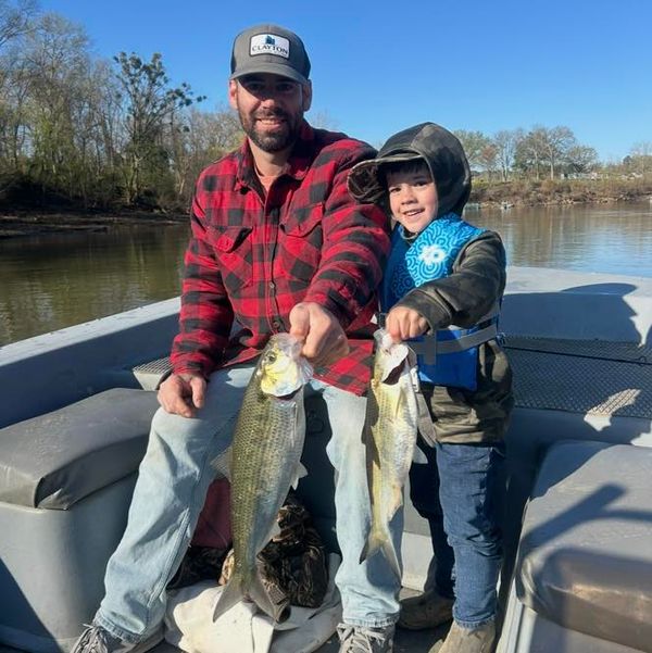 Grizzly Creek Charters