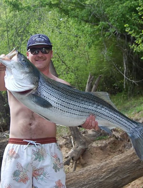 Grizzly Creek Charters