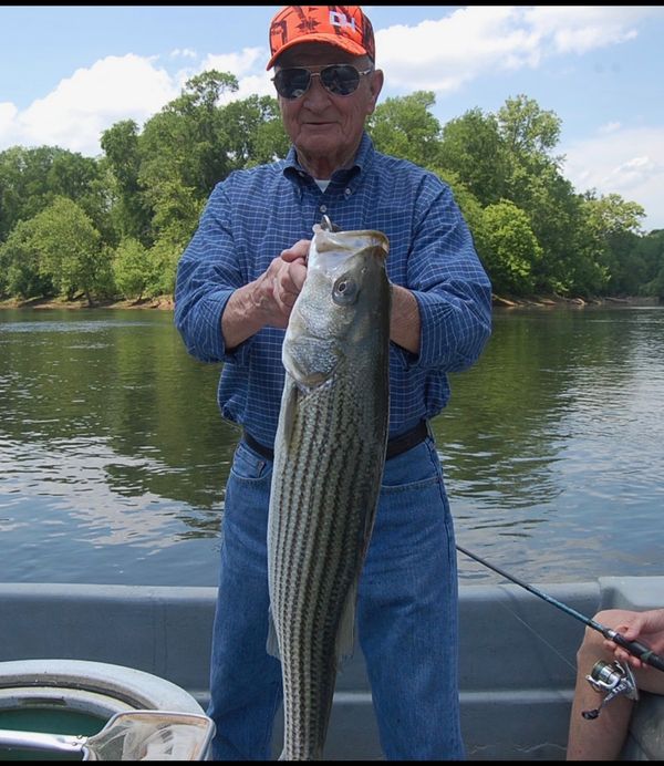 Grizzly Creek Charters