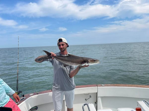 Earning Stripes Sportfishing