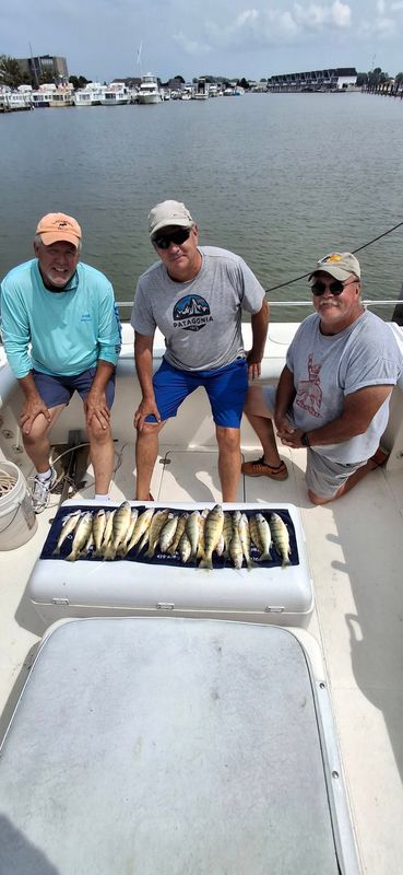 Lured In Fishing Charters