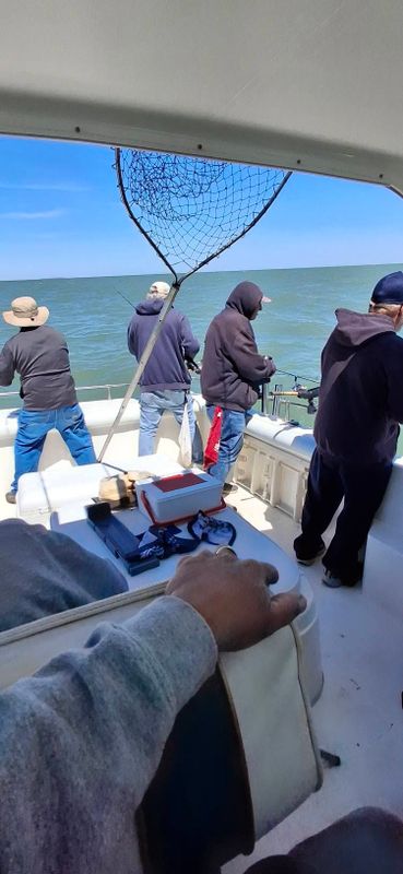 Lured In Fishing Charters
