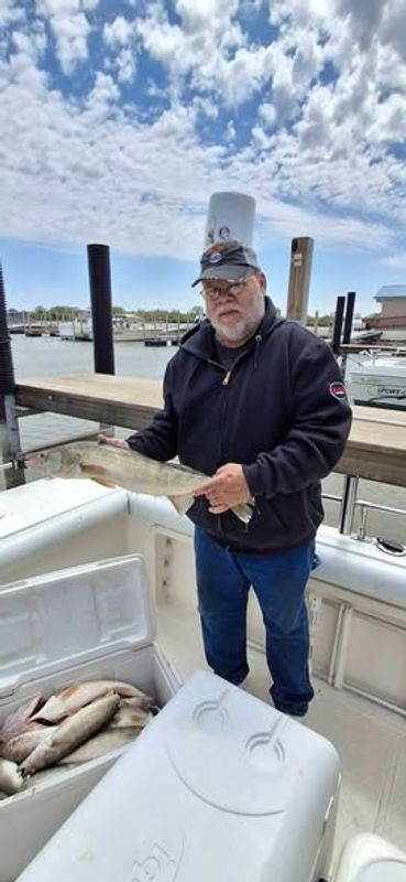 Lured In Fishing Charters