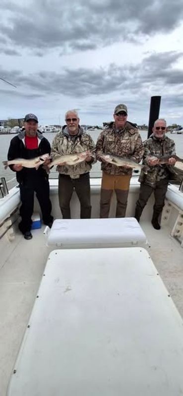Lured In Fishing Charters