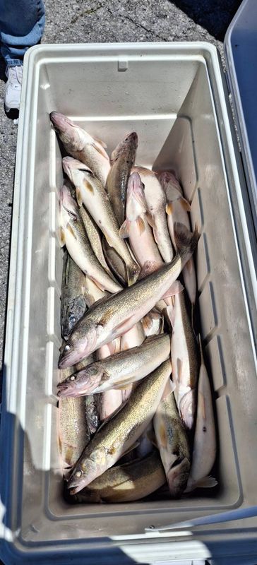 Lured In Fishing Charters