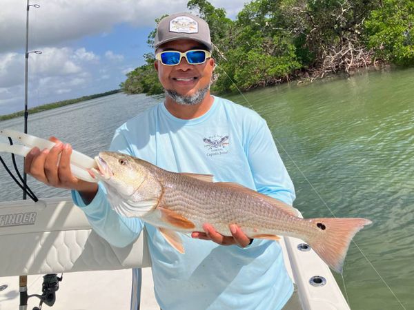 Black Irish Charters