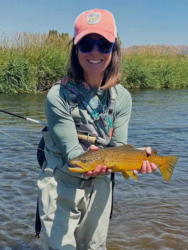 Park City Fly Fishing Company