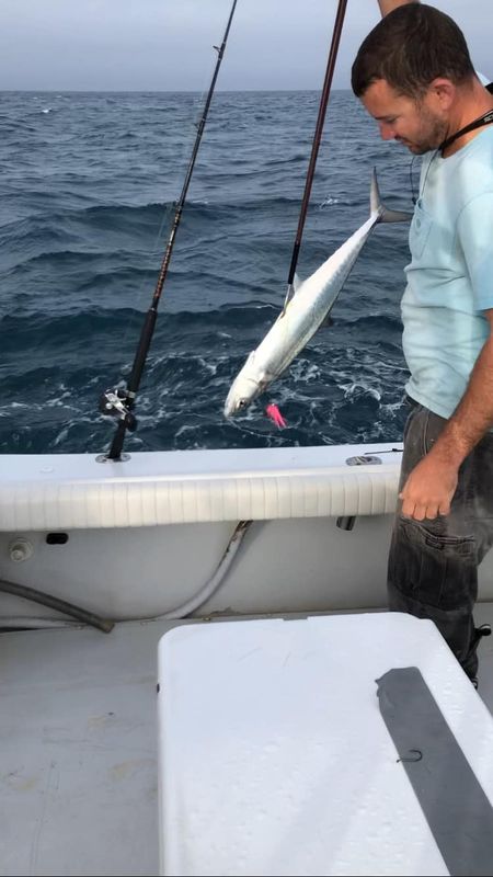 Catch Dog Sport Fishing Charters