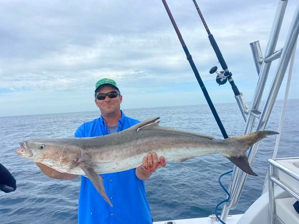 Catch Dog Sport Fishing Charters