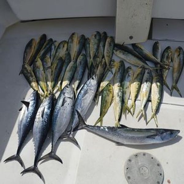 Broke Tip Charter