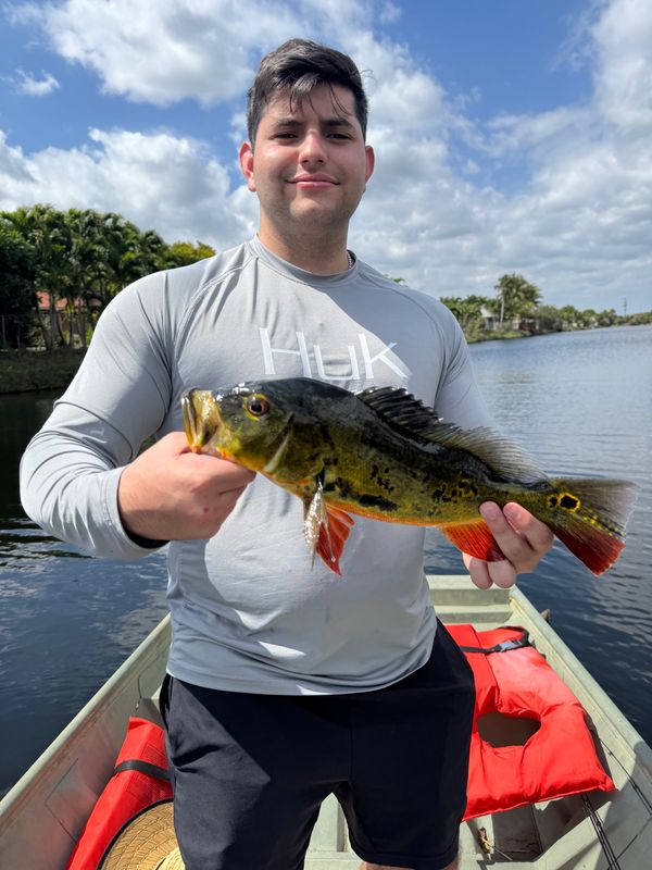 RB Charters Miami LLC