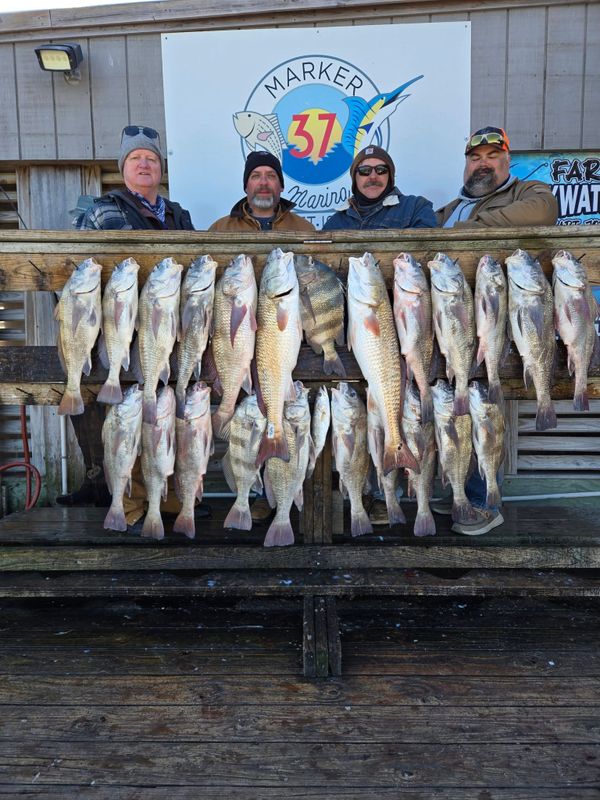 Sea N Spots Guide Service