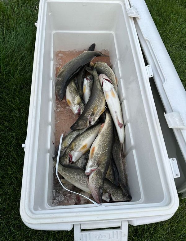 Loaded Rod Charters