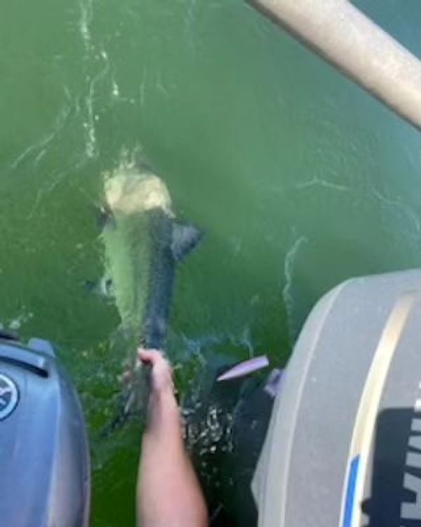 Wild West Sport Fishing