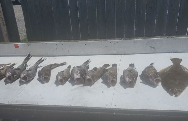 Wots Up Dock Charter Fishing