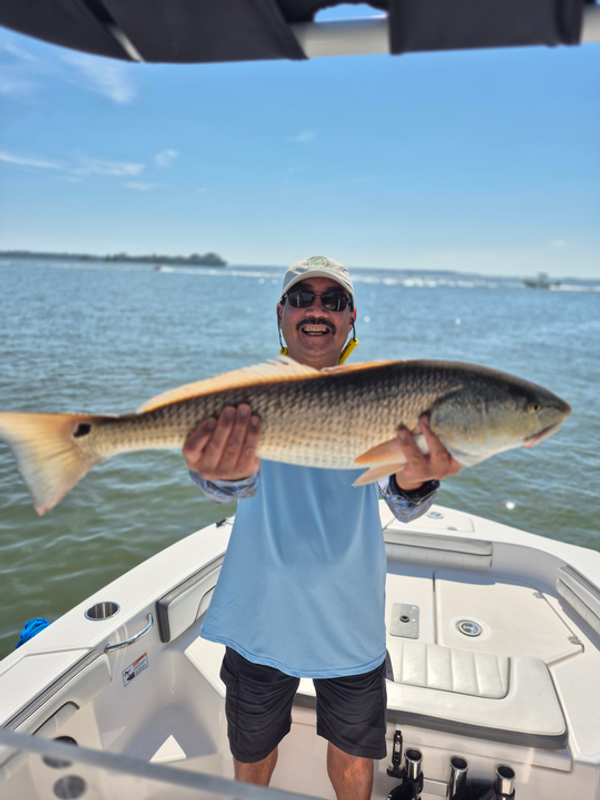 I Love Fishing Charters