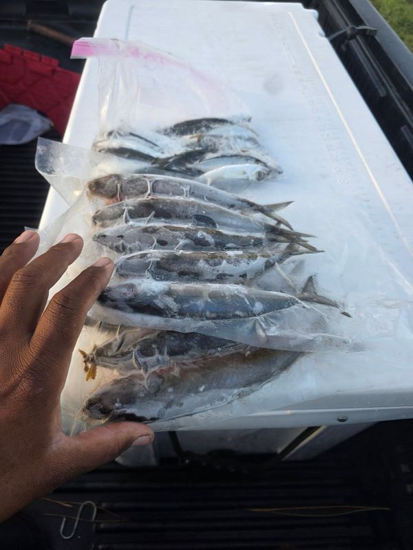 Chosen One Fishing Charters