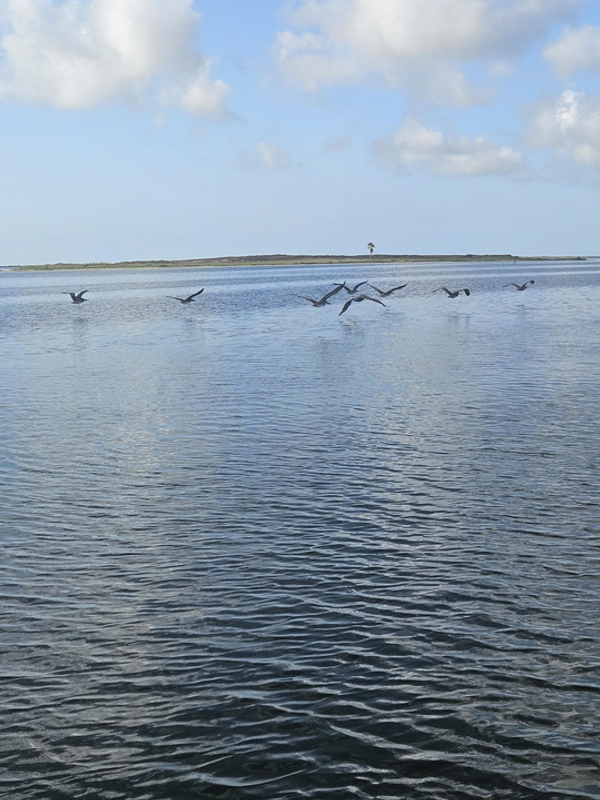 South Texas Outcast Guide Services