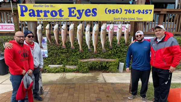 Southern Action Charters