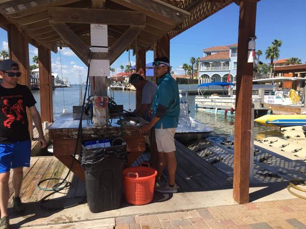 Southern Action Charters
