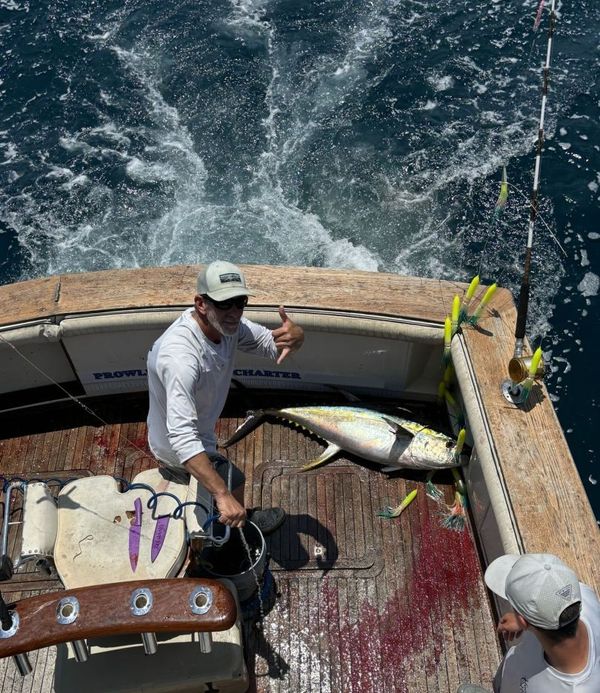 Prowler Fishing Charter