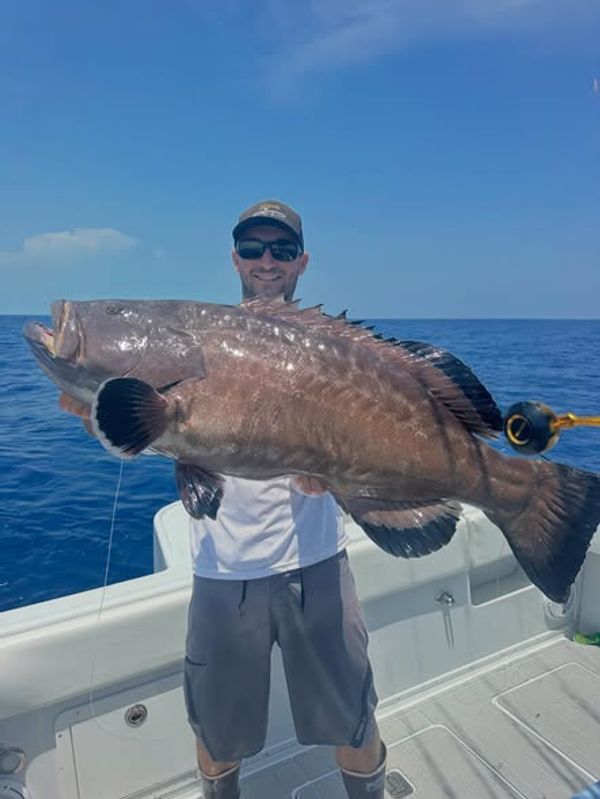 Sea Señorita Charters