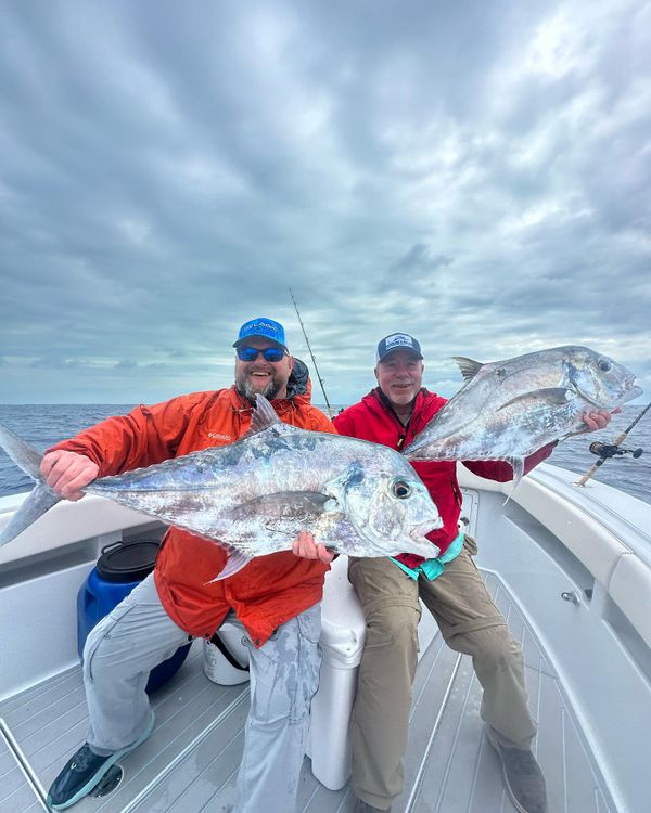 Sea Señorita Charters
