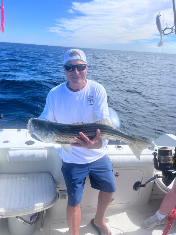 Magnanimous Sport Fishing 