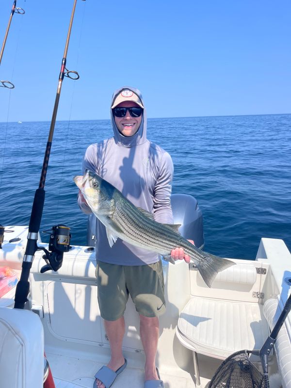 Magnanimous Sport Fishing 