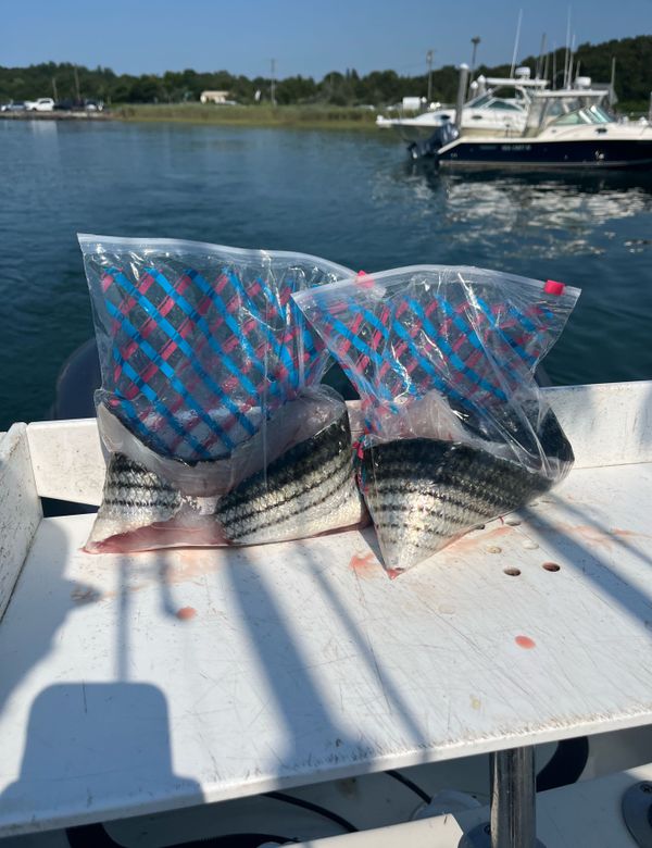 Magnanimous Sport Fishing 