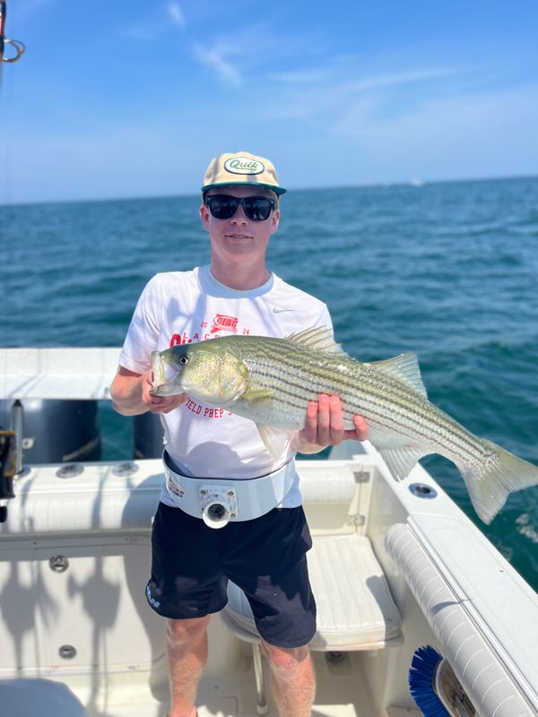 Magnanimous Sport Fishing 