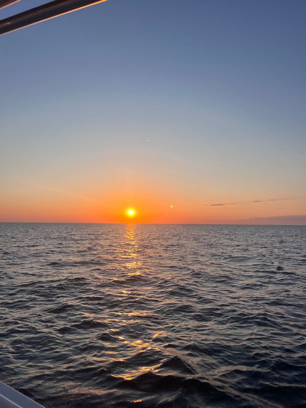 Magnanimous Sport Fishing 