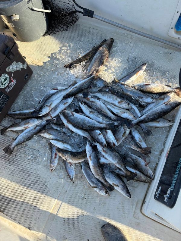 Unreel Charters GA