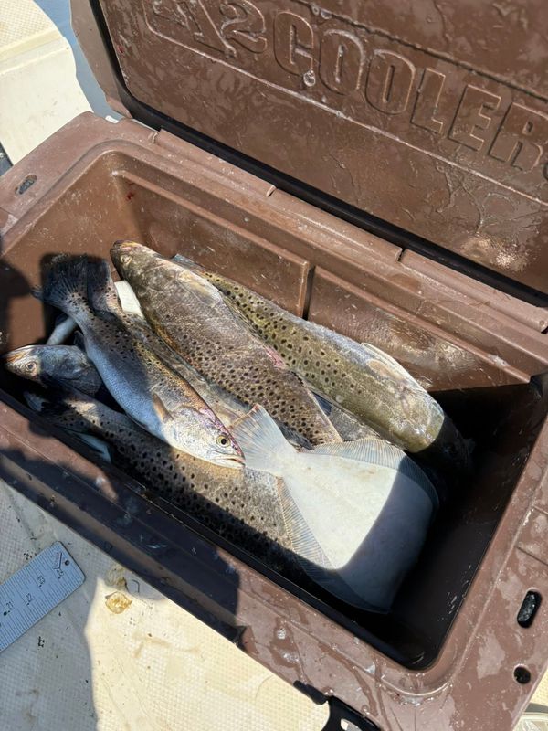 Unreel Charters GA