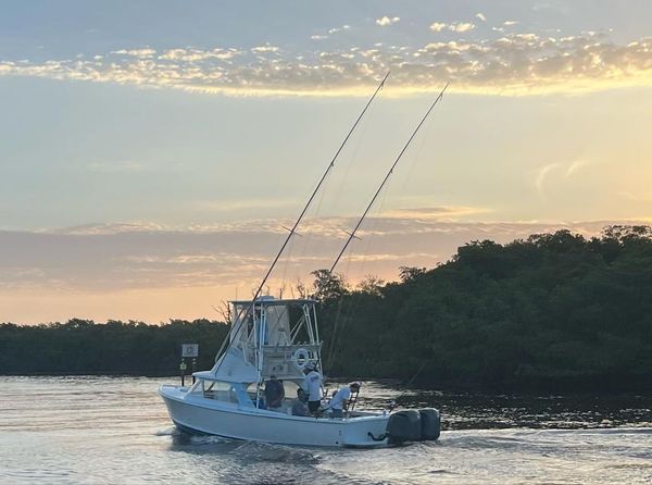 Phishunt Charters