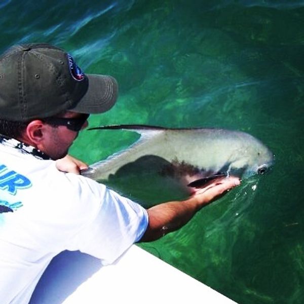 Lone Mangrove Charters ,LLC