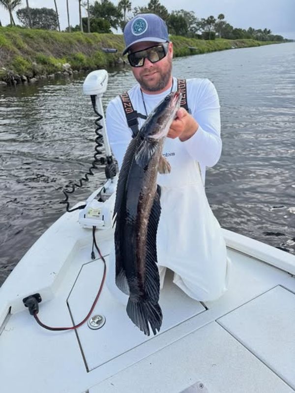 Jurassic Park Fishing Charters