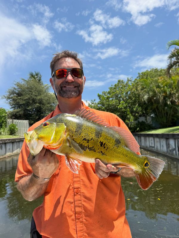 Jurassic Park Fishing Charters