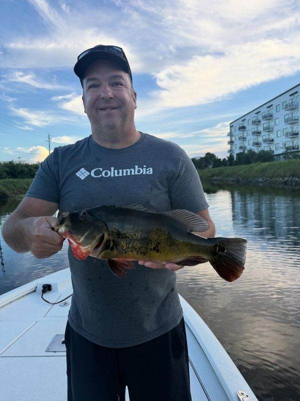 Jurassic Park Fishing Charters