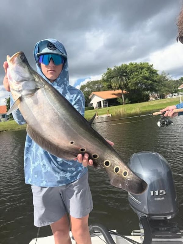 Jurassic Park Fishing Charters