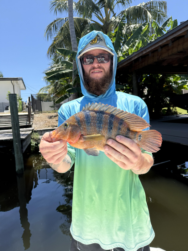 Jurassic Park Fishing Charters