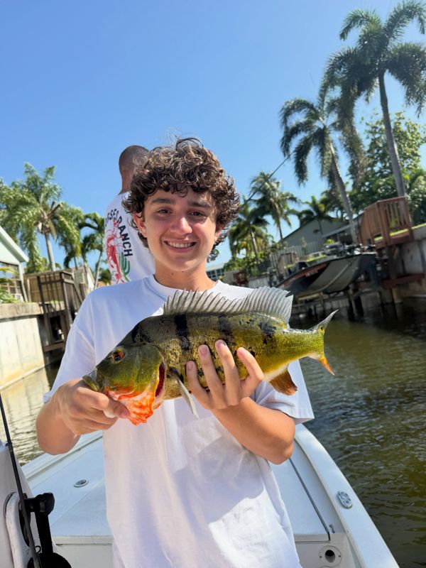 Jurassic Park Fishing Charters