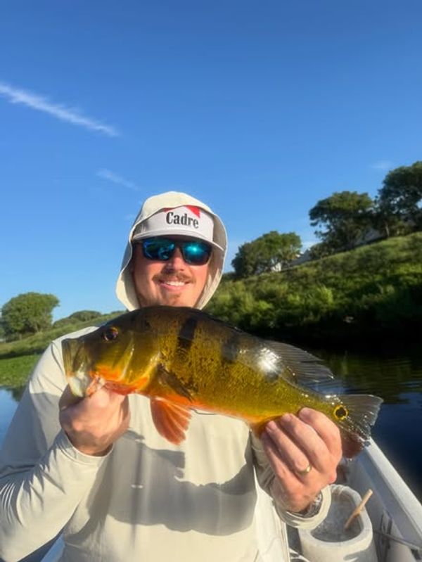 Jurassic Park Fishing Charters