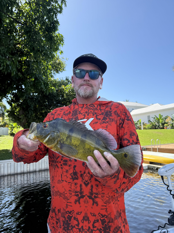 Jurassic Park Fishing Charters