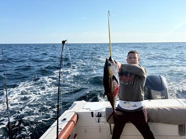 Resuwrecktion Charters