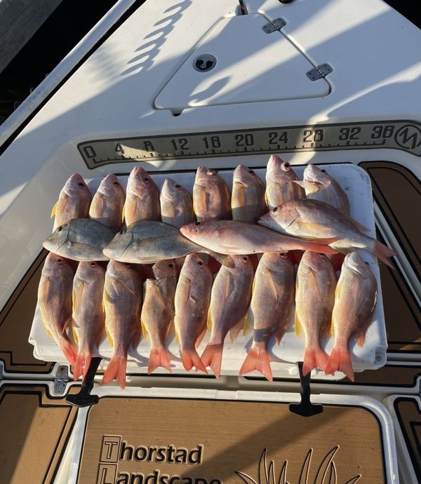 Southern Slots Charter