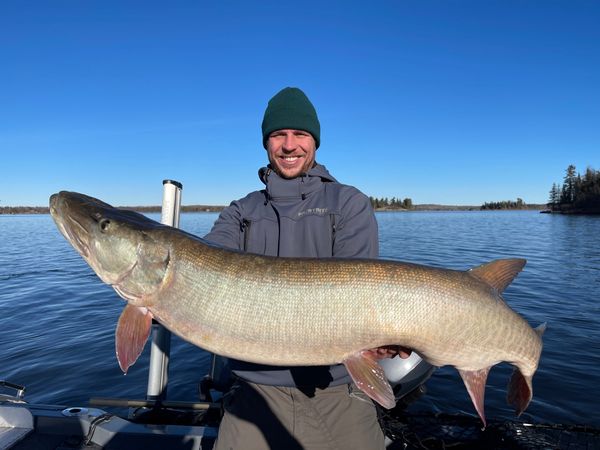  Lake of the Wood Cottage